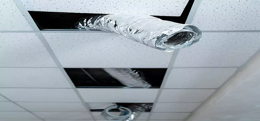 Affordable HVAC Sanitizing After Pest Removal in Cuyahoga Falls