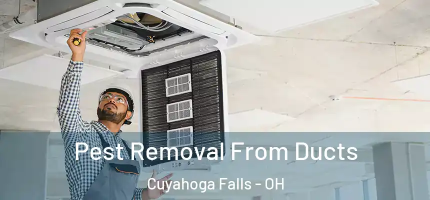  Pest Removal From Ducts Cuyahoga Falls - OH