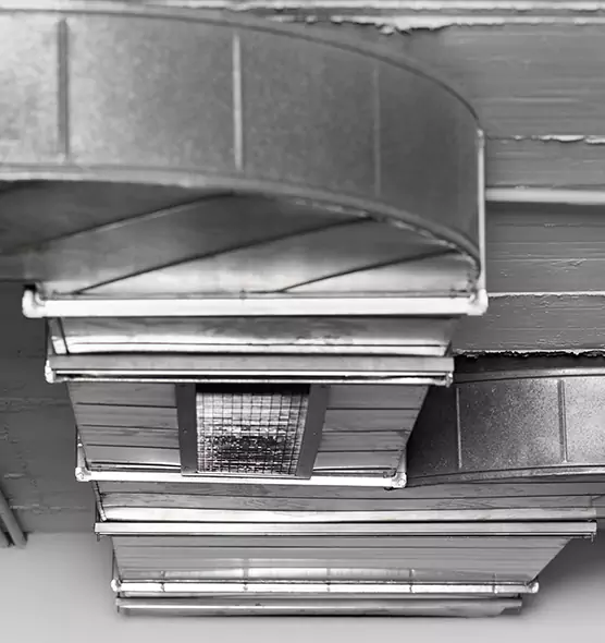 Professional Air Duct Pest Removal in Cuyahoga Falls, OH