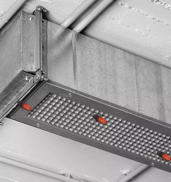 Affordable Insect Removal from Air Ducts in Cuyahoga Falls, OH