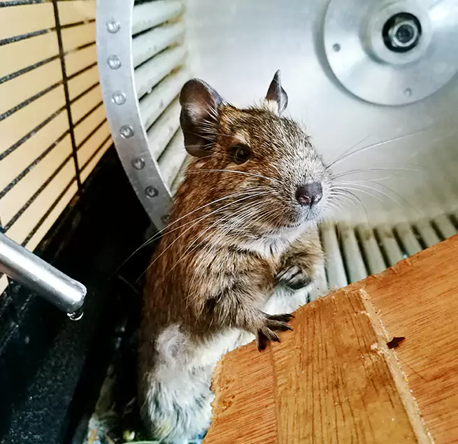 Why Homeowners & Businesses Trust Us Cuyahoga Falls, OH